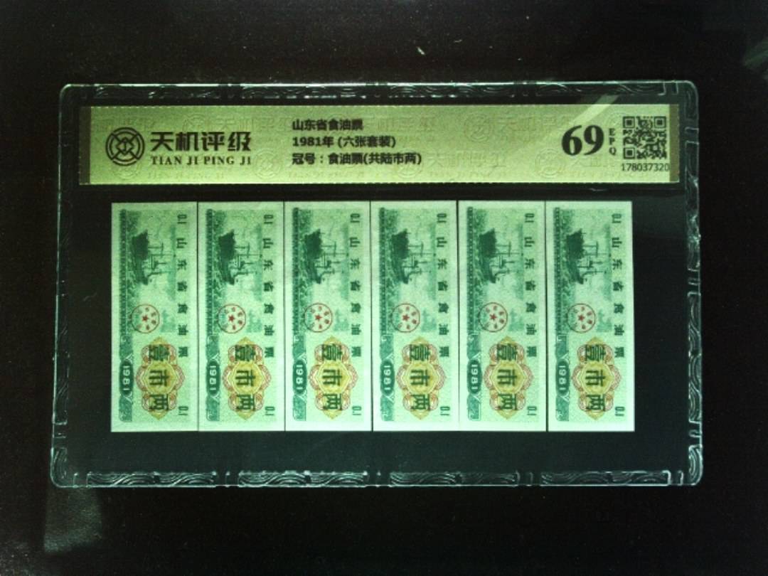 山东省食油票1981年 (六张套装)，冠号食油票(共陆市两)，纸币，钱币收藏