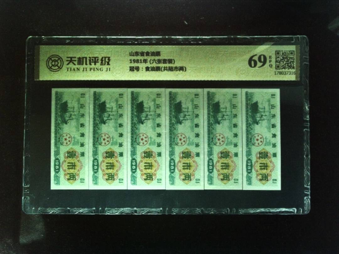 山东省食油票1981年 (六张套装)，冠号食油票(共陆市两)，纸币，钱币收藏