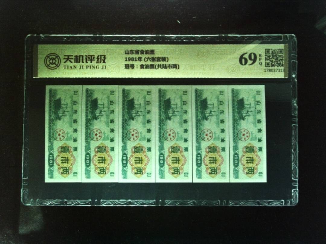 山东省食油票1981年 (六张套装)，冠号食油票(共陆市两)，纸币，钱币收藏