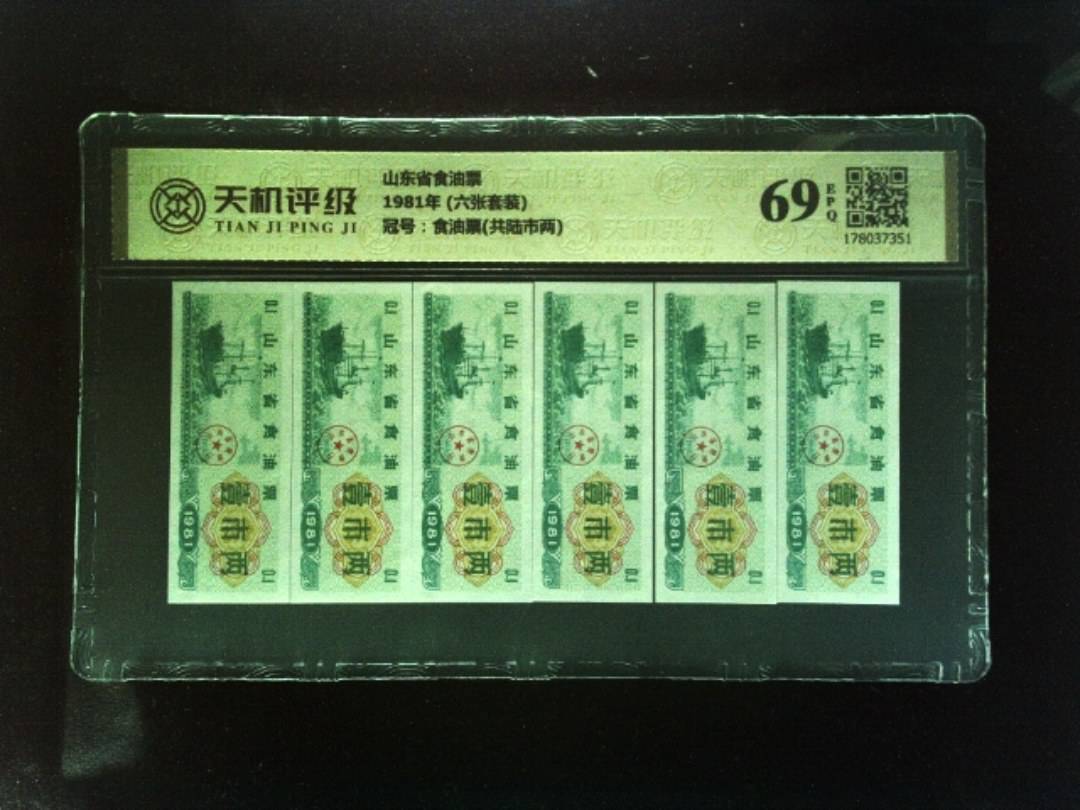 山东省食油票1981年 (六张套装)，冠号食油票(共陆市两)，纸币，钱币收藏