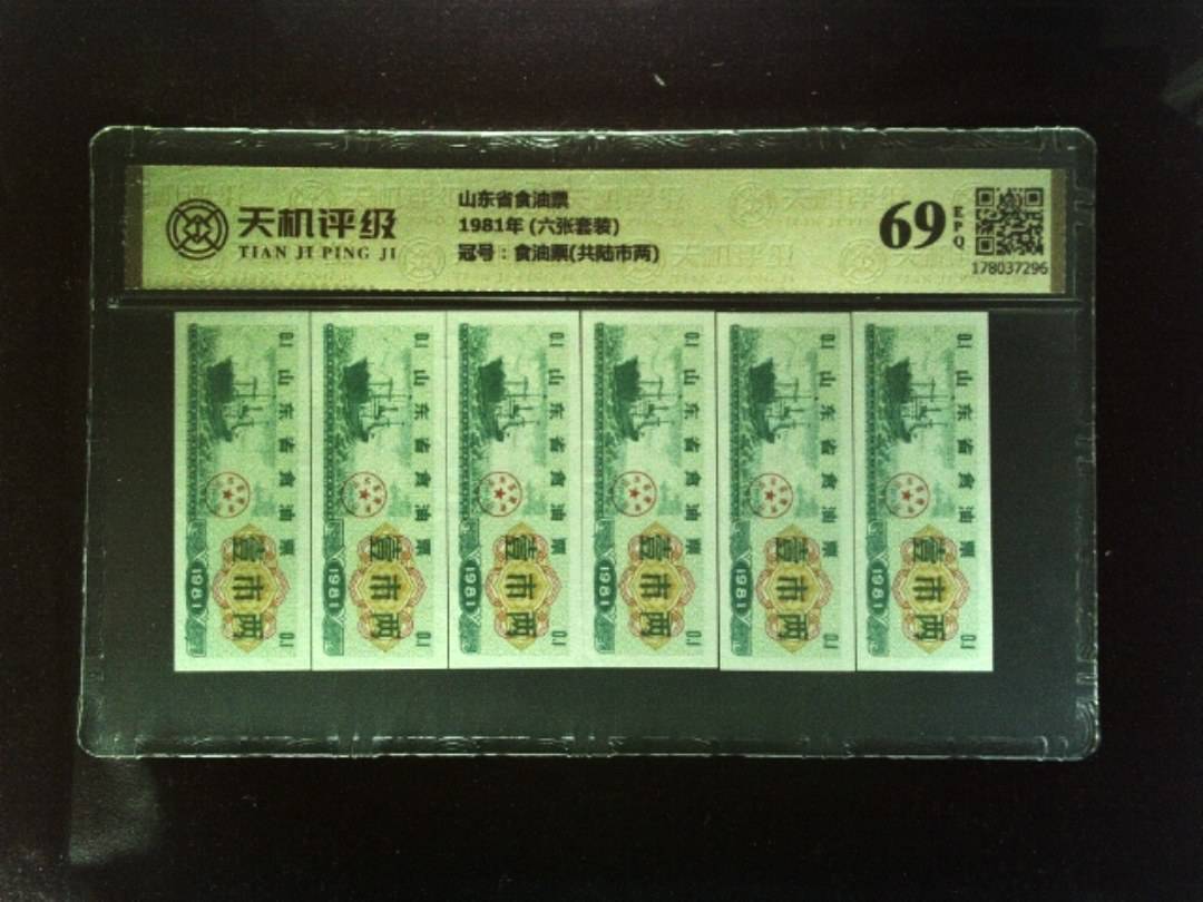 山东省食油票1981年 (六张套装)，冠号食油票(共陆市两)，纸币，钱币收藏
