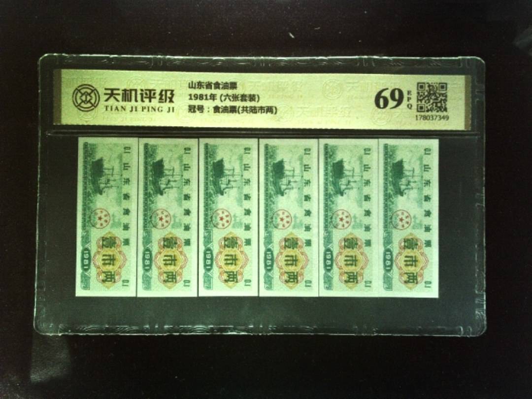 山东省食油票1981年 (六张套装)，冠号食油票(共陆市两)，纸币，钱币收藏