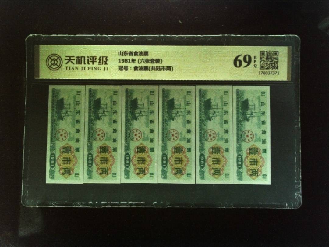 山东省食油票1981年 (六张套装)，冠号食油票(共陆市两)，纸币，钱币收藏