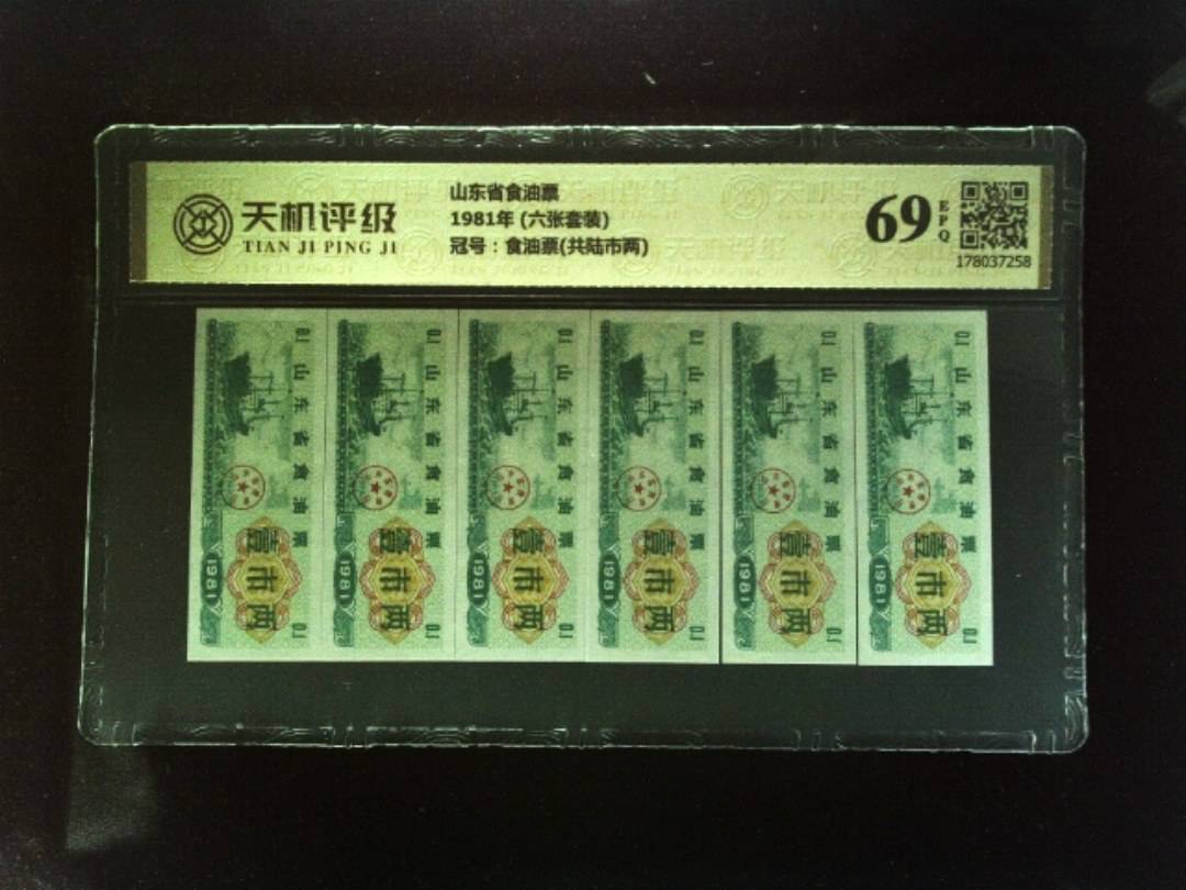山东省食油票1981年 (六张套装)，冠号食油票(共陆市两)，纸币，钱币收藏