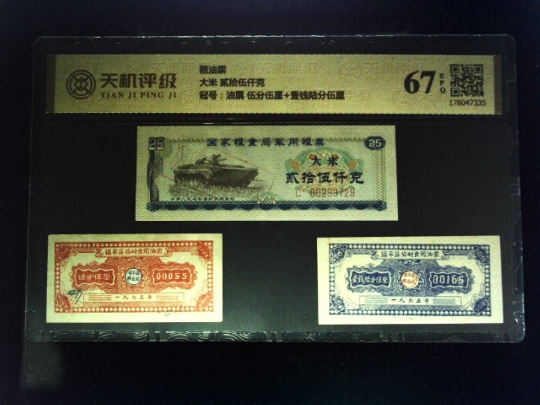 粮油票大米 贰拾伍仟克，冠号油票 伍分伍厘+壹钱陆分伍厘，纸币，钱币收藏