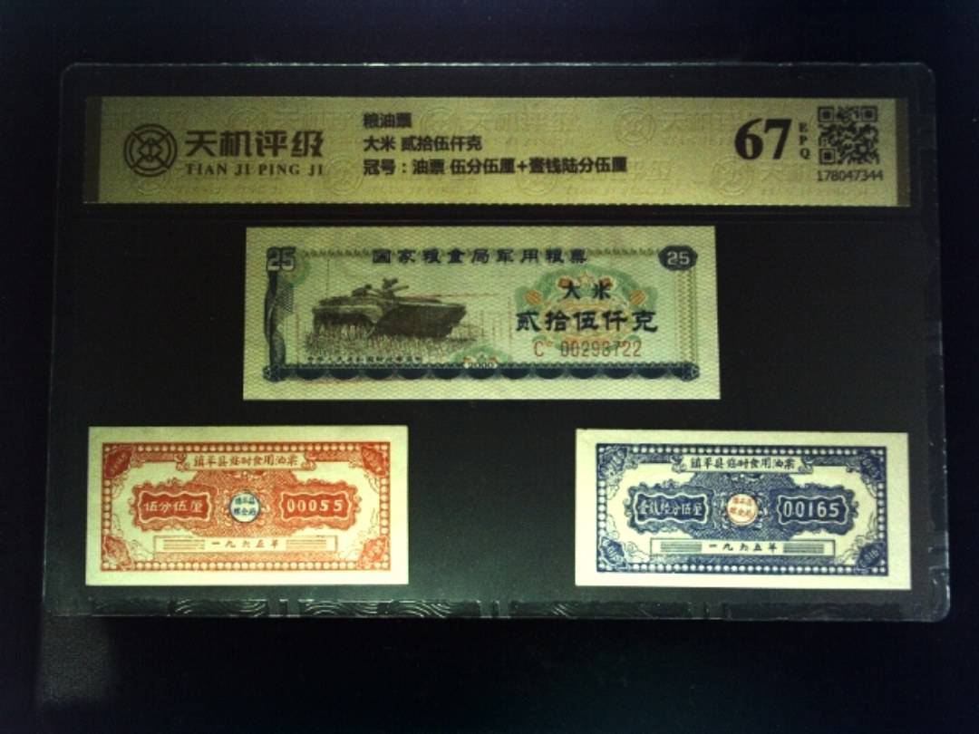 粮油票大米 贰拾伍仟克，冠号油票 伍分伍厘+壹钱陆分伍厘，纸币，钱币收藏