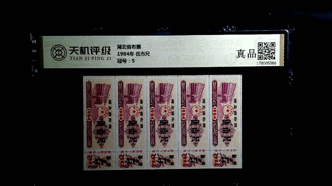 湖北省布票1984年 伍市尺，冠号5，纸币，钱币收藏