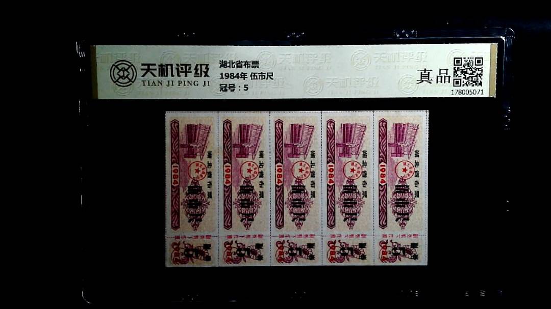 湖北省布票1984年 伍市尺，冠号5，纸币，钱币收藏