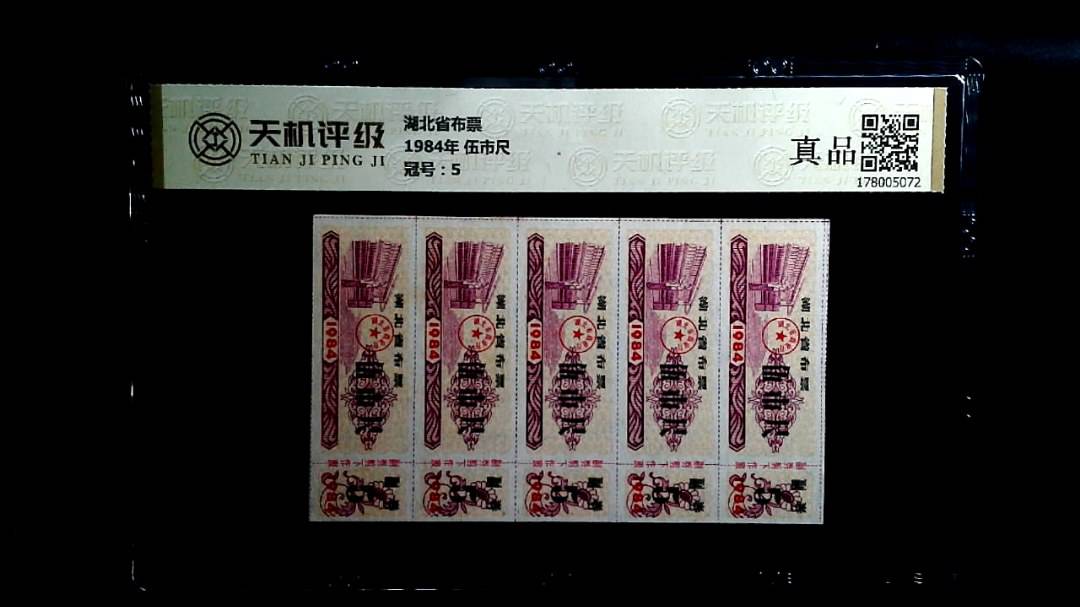 湖北省布票1984年 伍市尺，冠号5，纸币，钱币收藏