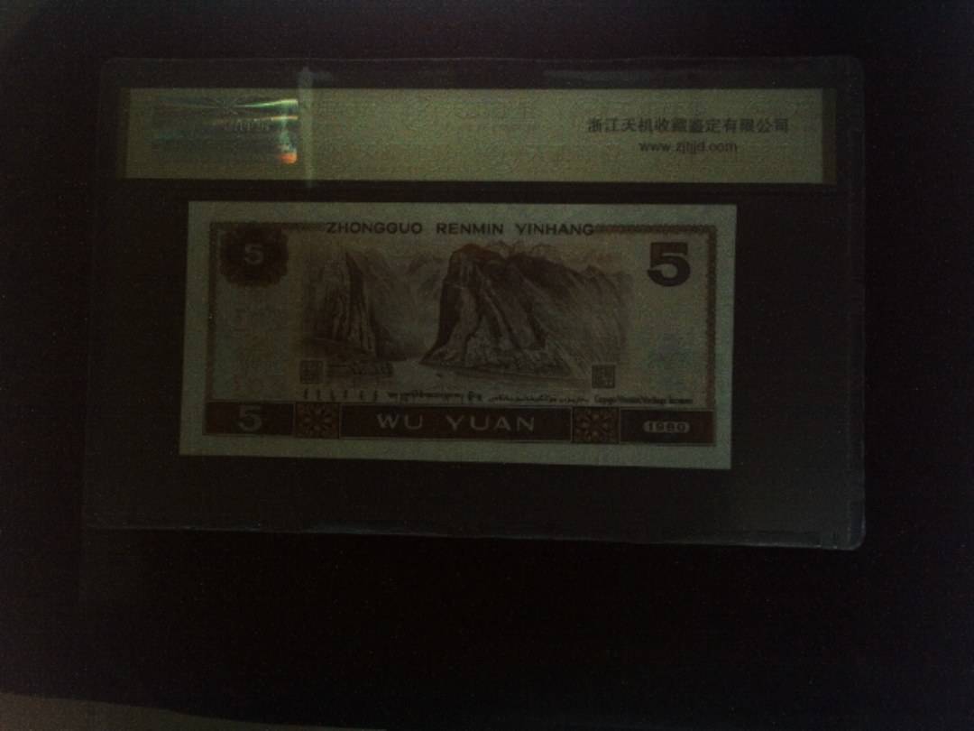 1980年 伍圆