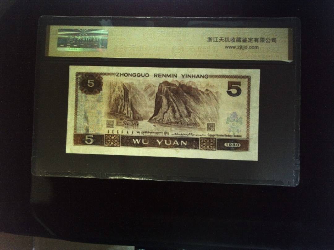 1980年 伍圆
